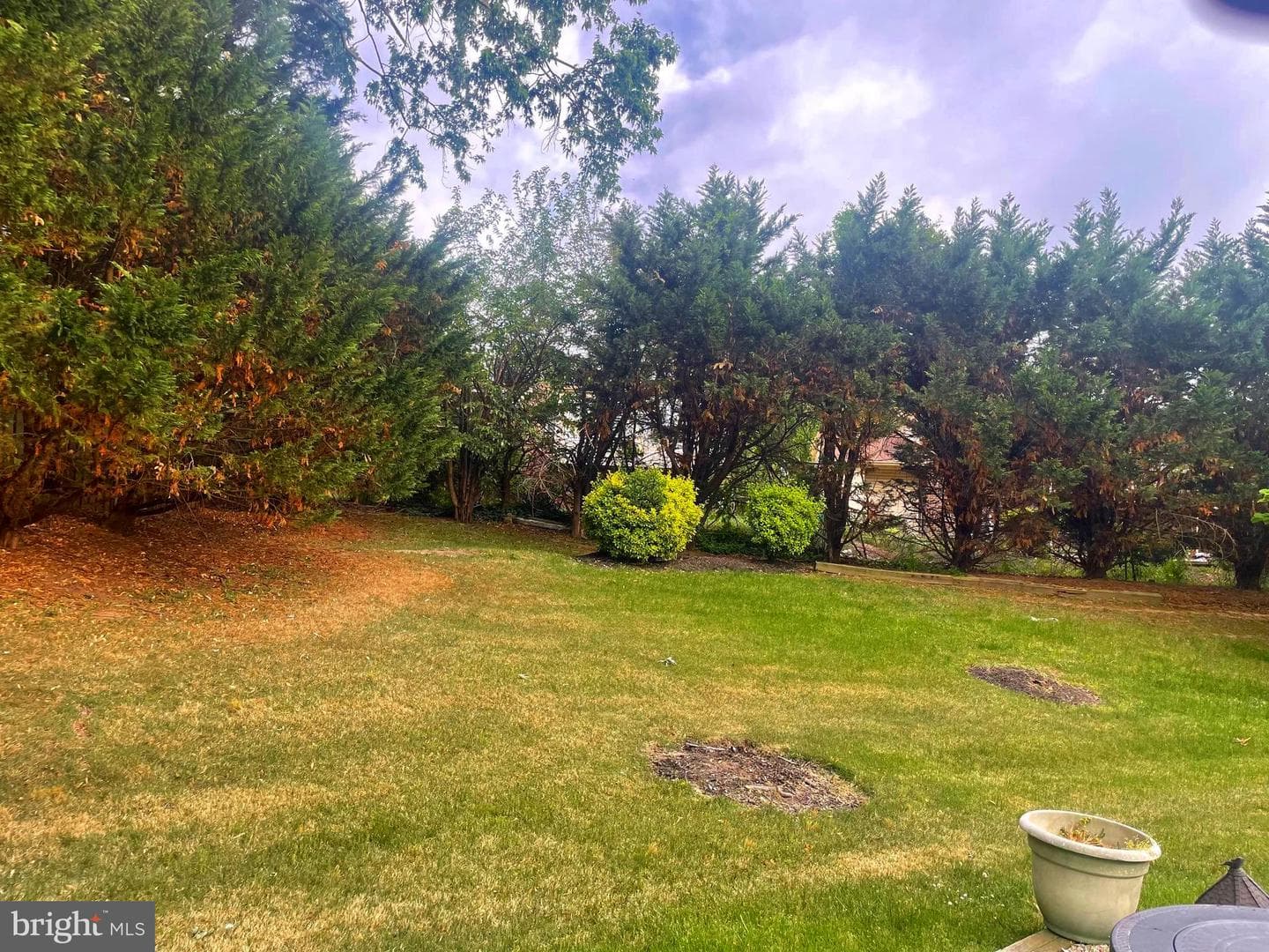 11007 Phillips Dr photo 21
