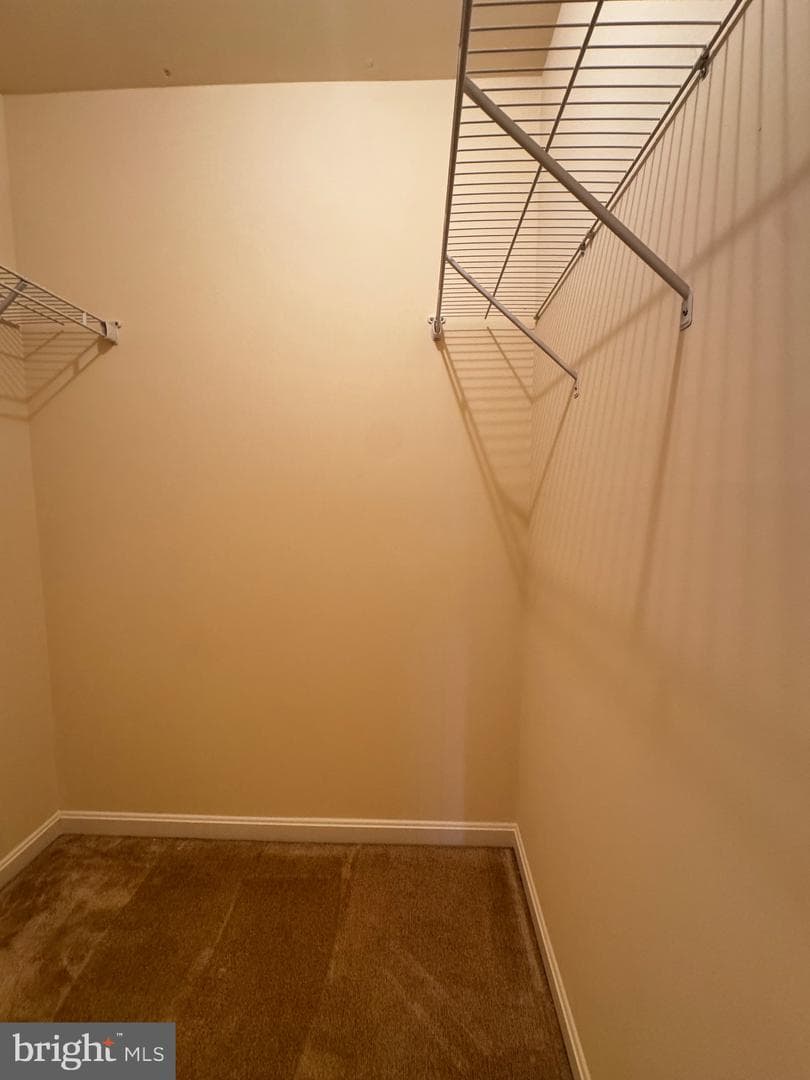 7331 Archsine Lane photo 17