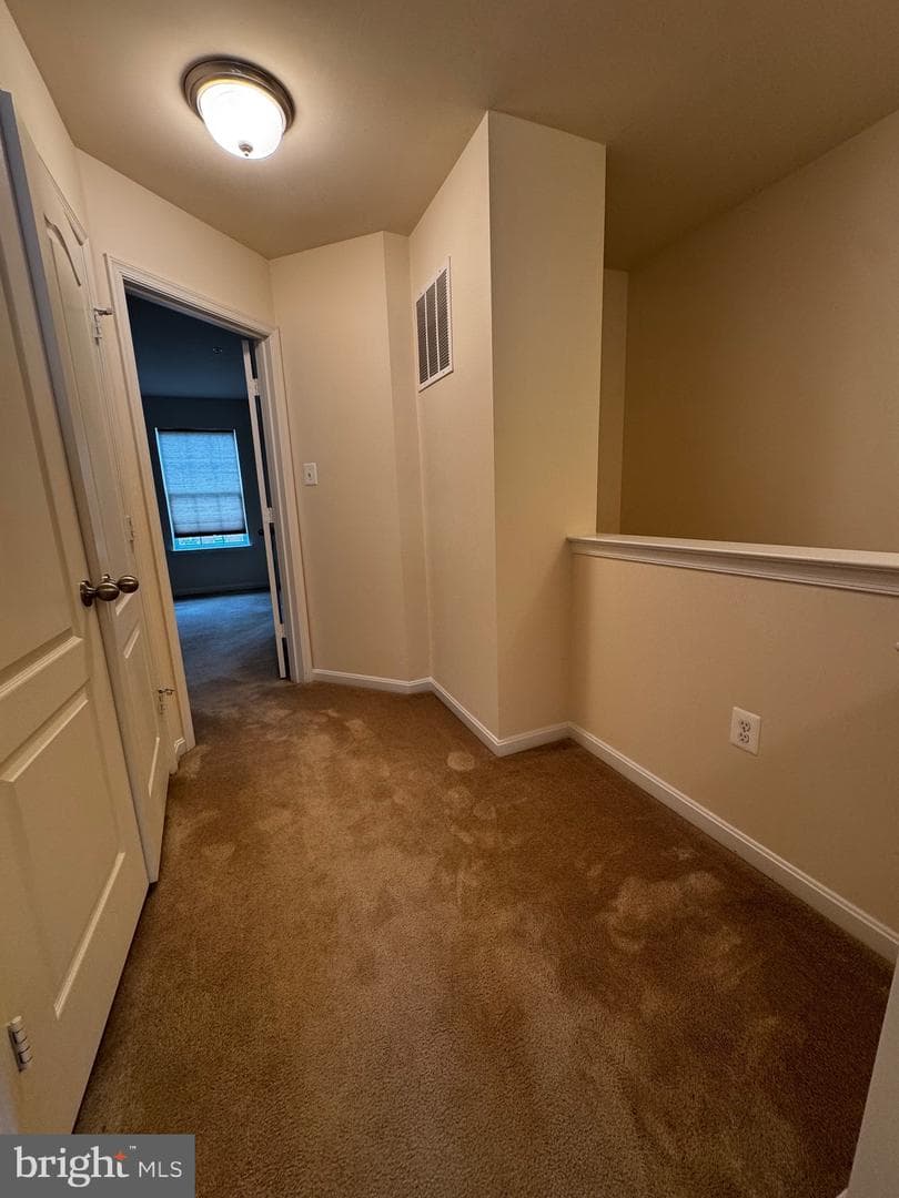 7331 Archsine Lane photo 43