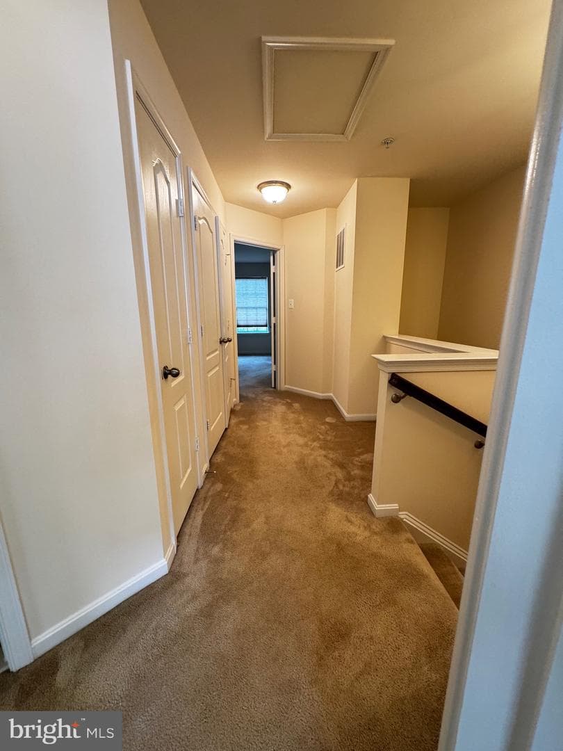 7331 Archsine Lane photo 59