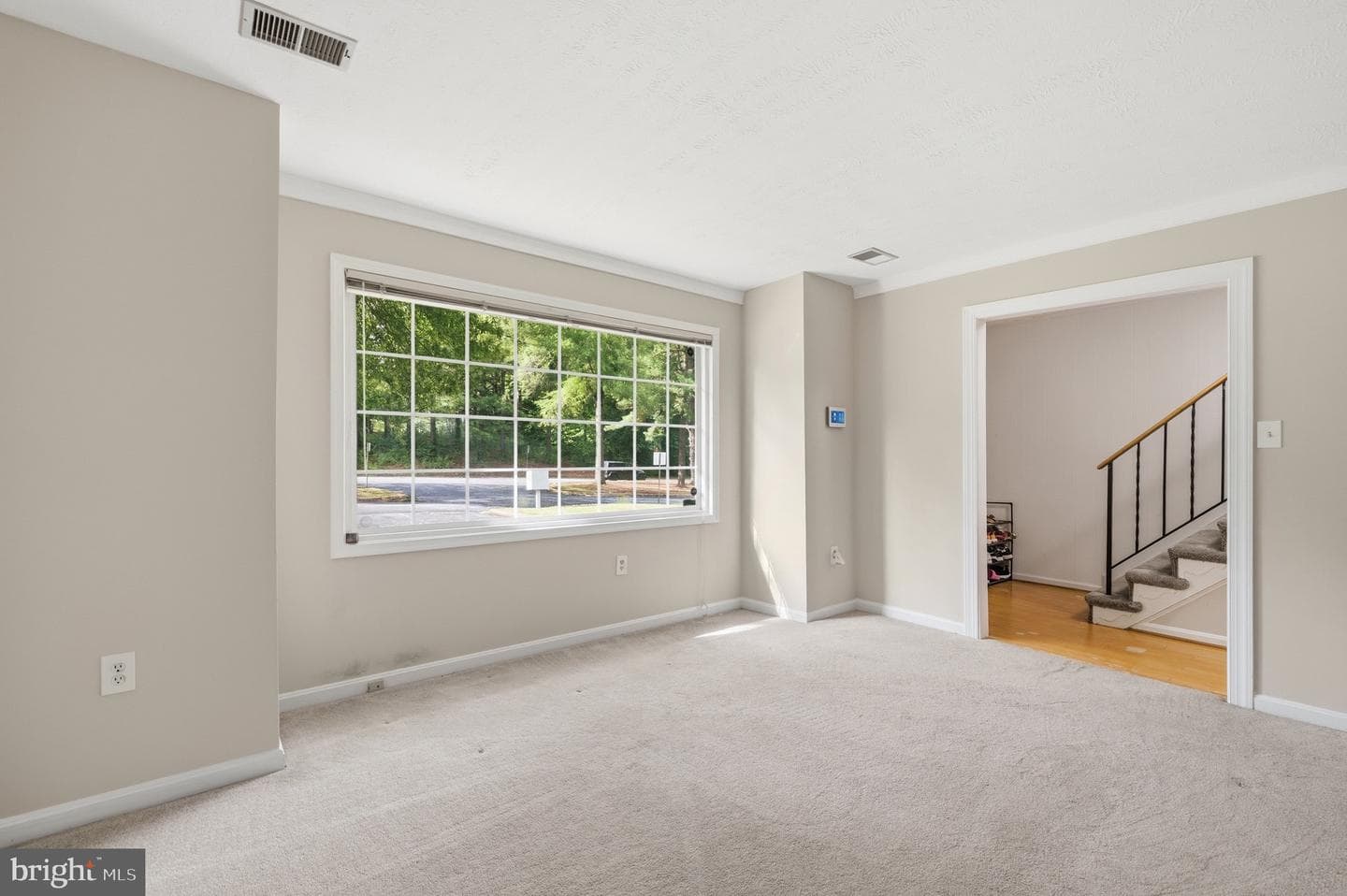 13013 Trumbull Drive photo 3