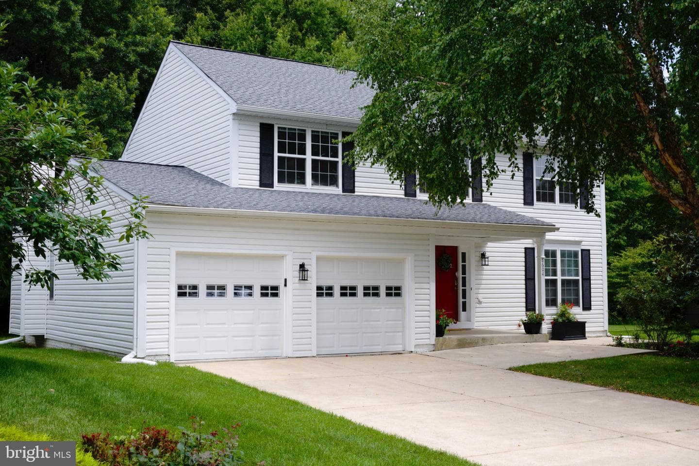 8604 Cory Drive photo 1