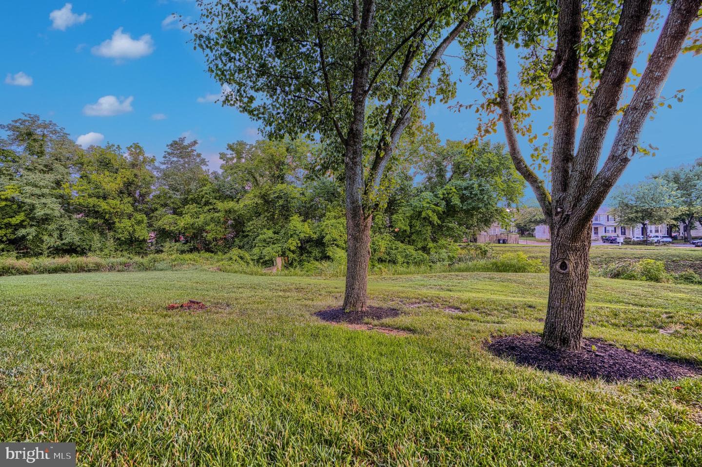 2220 Seton Way photo 53