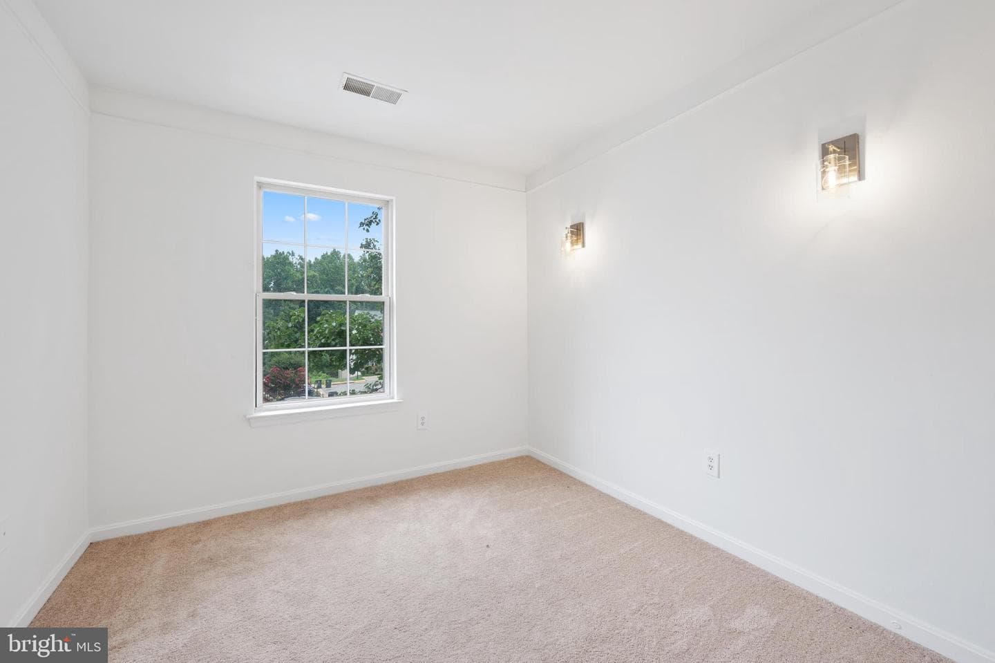 1816 Palmetto Drive photo 28