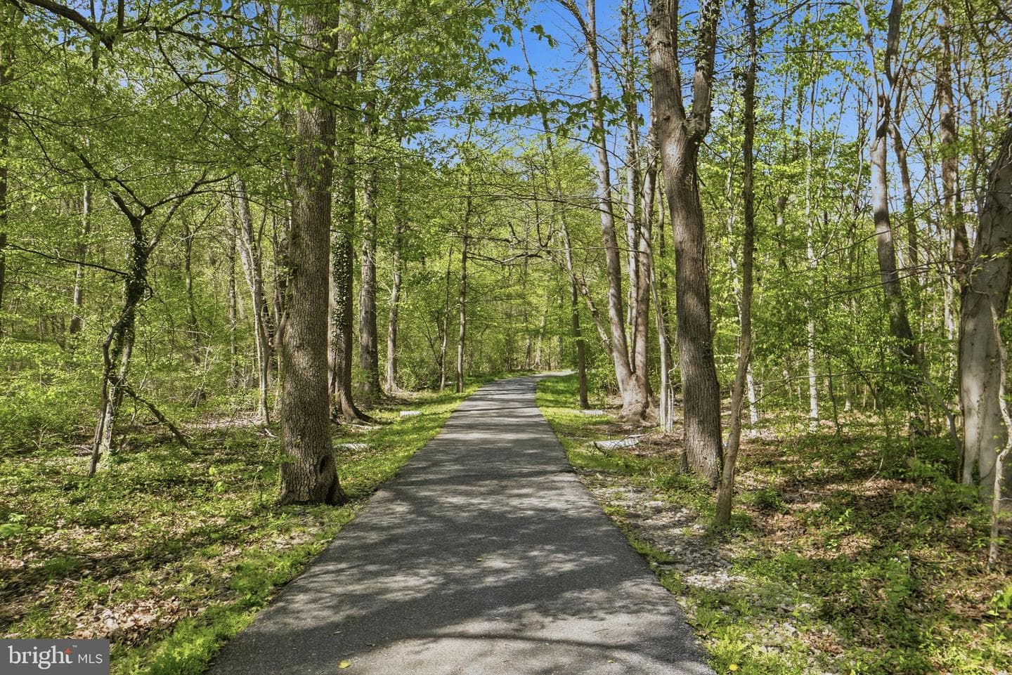 15620 Everglade Lane #401 photo 41