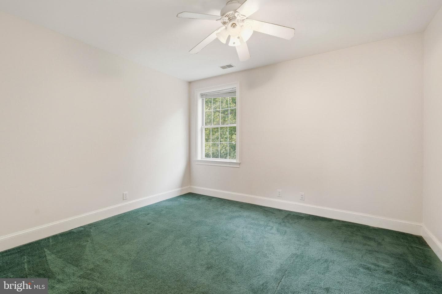 23410 Neck Road photo 19