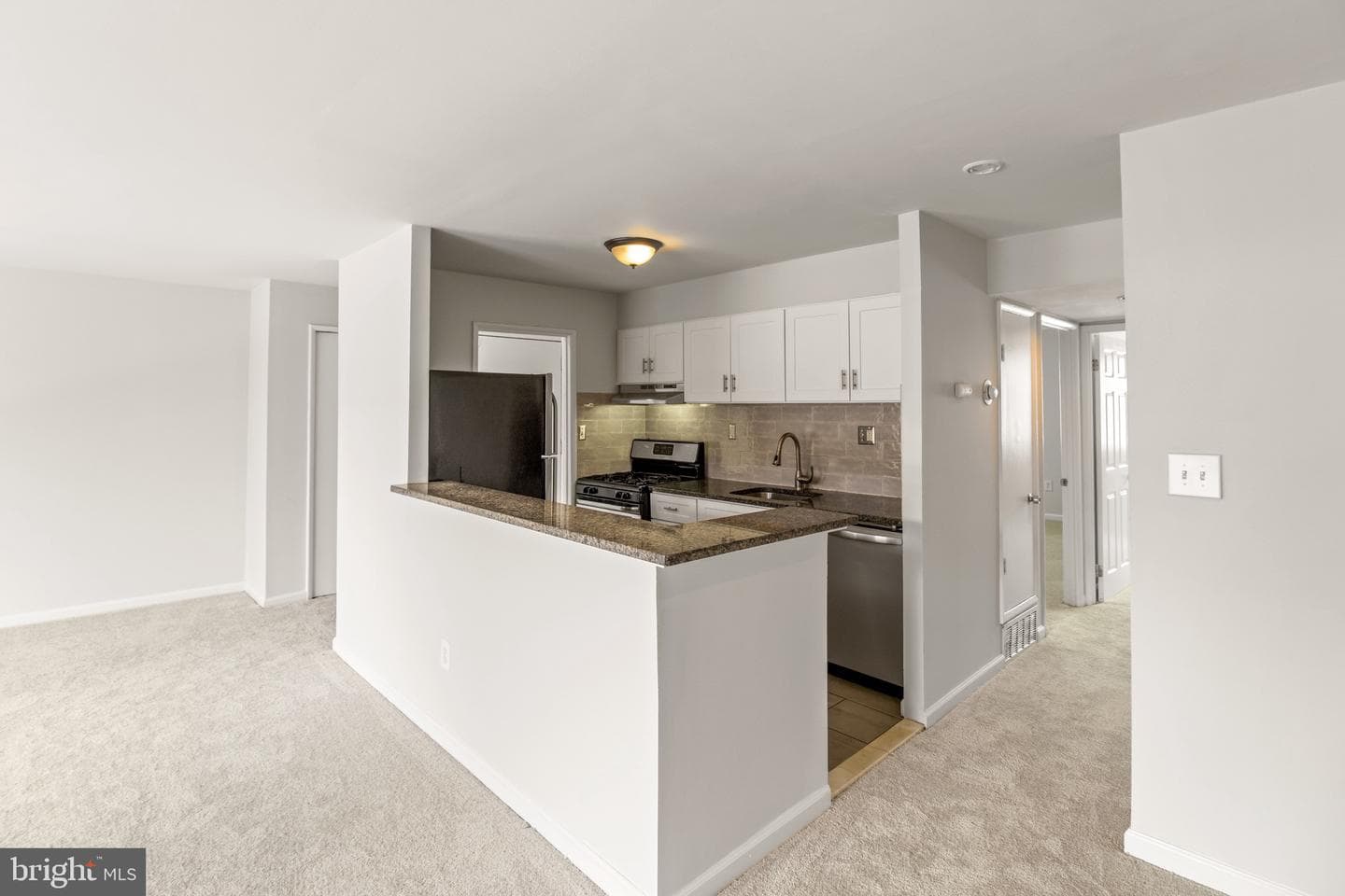 526 Wilson Bridge Drive #6727 C-1 photo 2