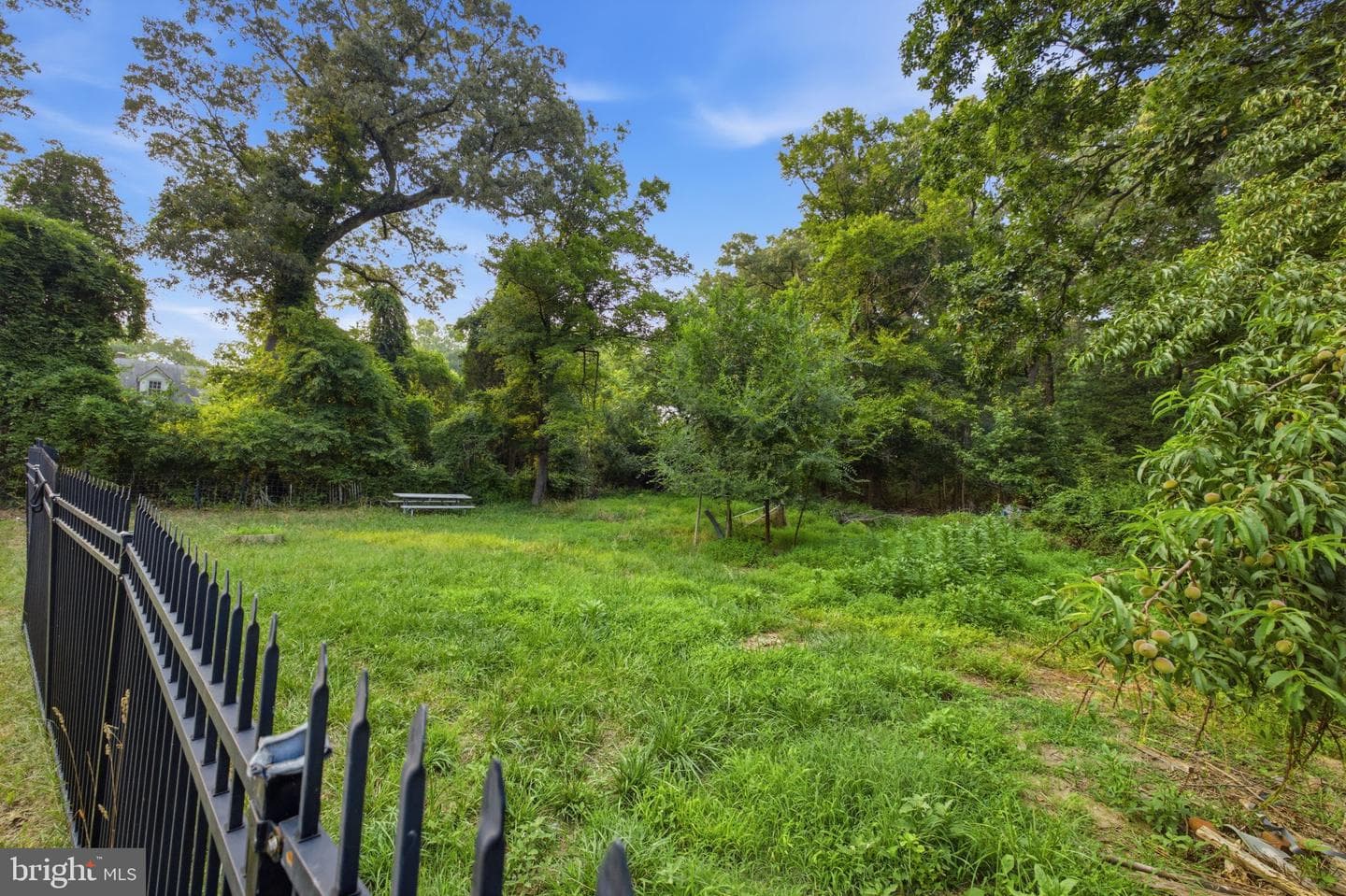 3412 Oaklawn Road photo 87