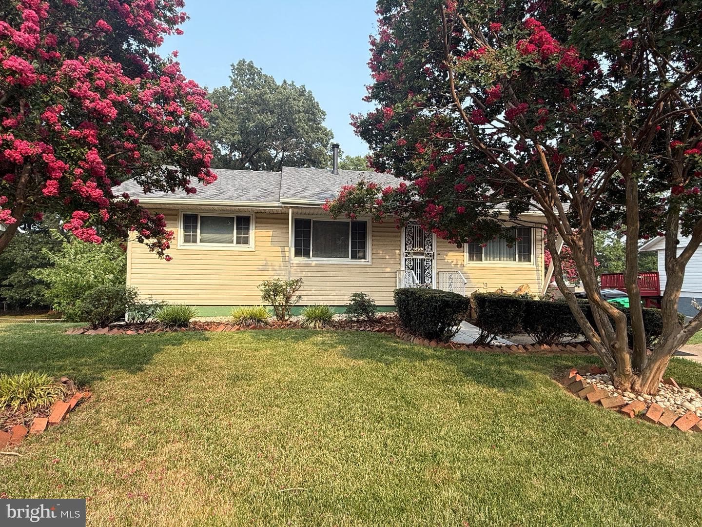 3119 82nd Avenue photo 1
