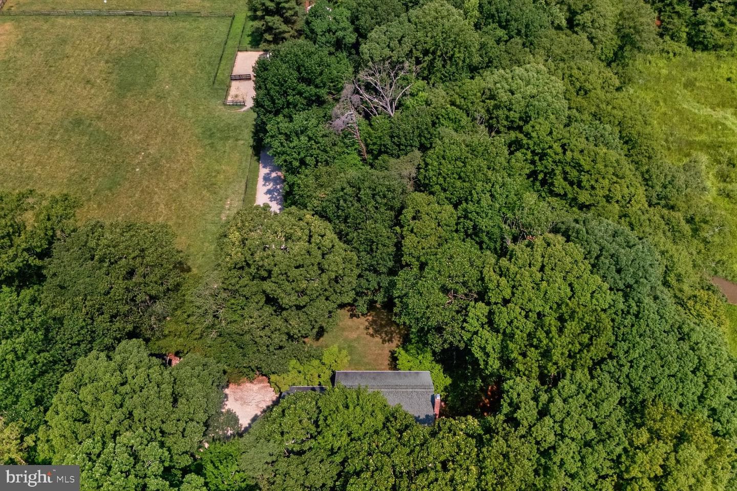 16351 Tanyard Road photo 7