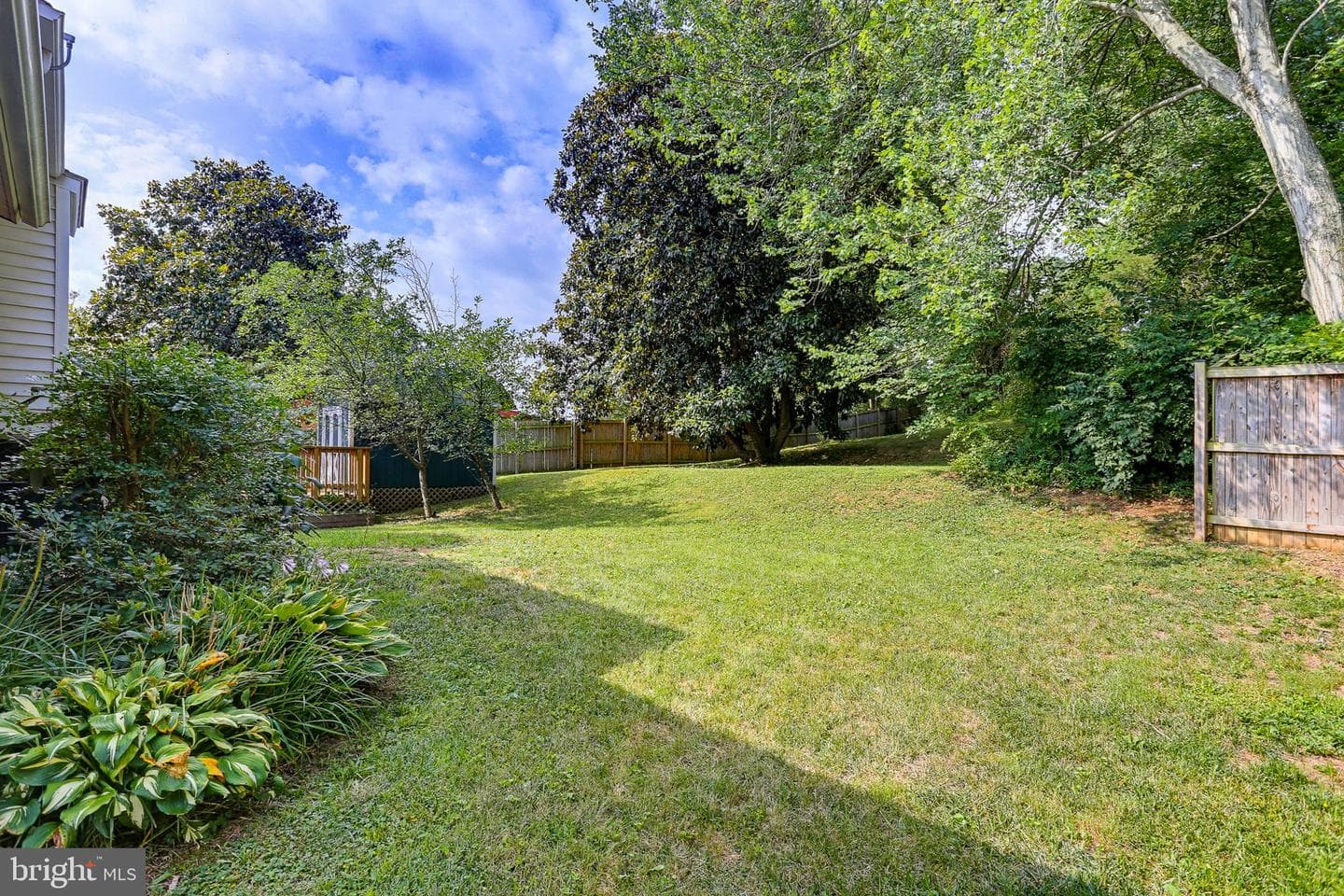 5923 Bryn Mawr Road photo 34