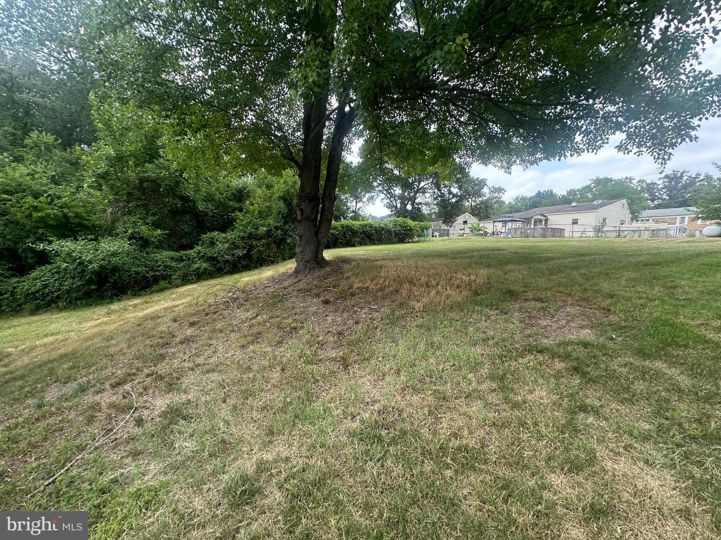 8135 Comet Drive photo 4