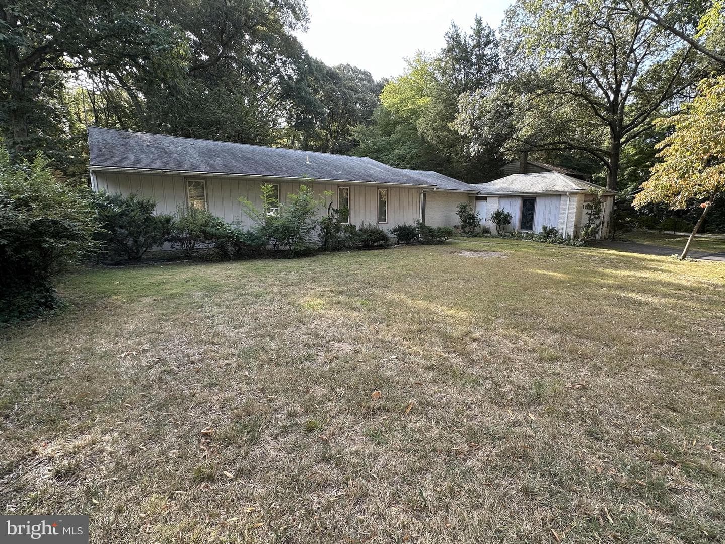 117 Primrose Road Primrose Road Road photo 2