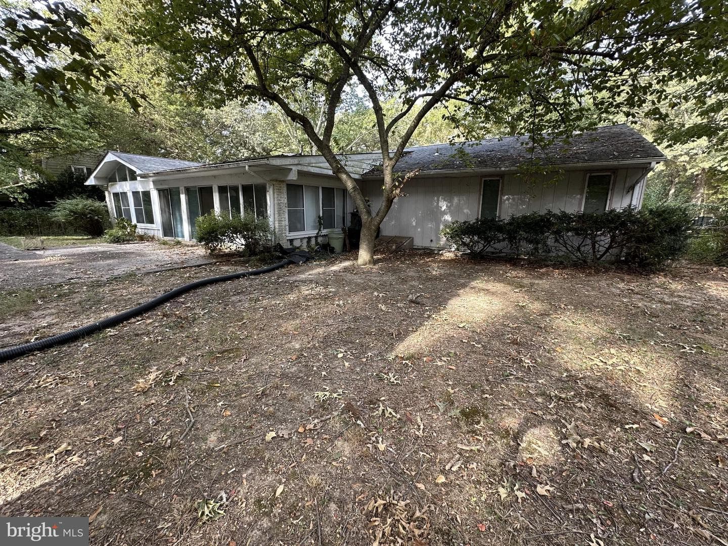 117 Primrose Road Primrose Road Road photo 6