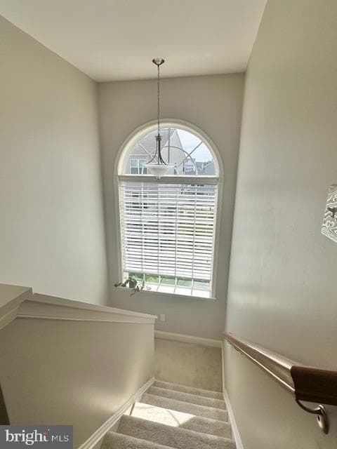 103 Liam Thomas Lane photo 17