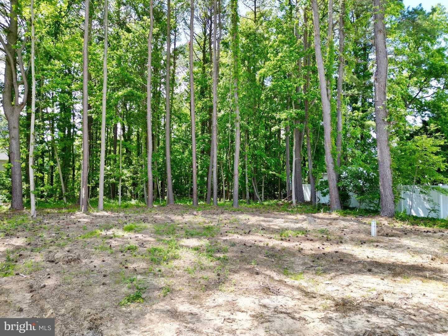 222 Long Point Road photo 39