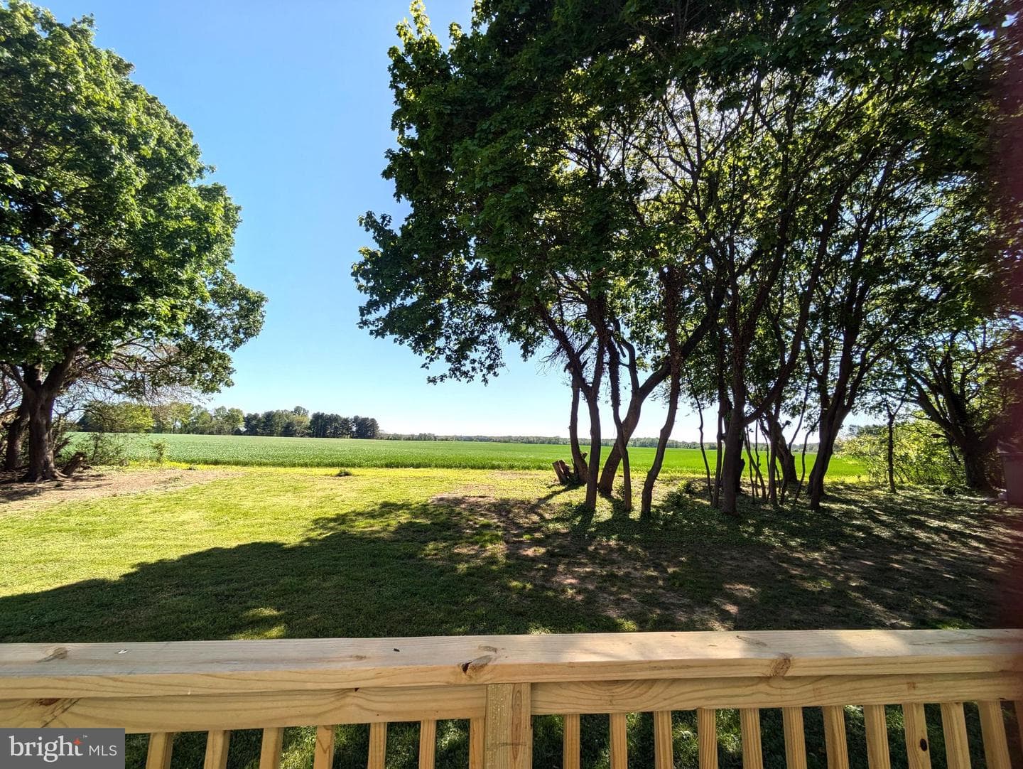 221 Frederick Drive photo 54