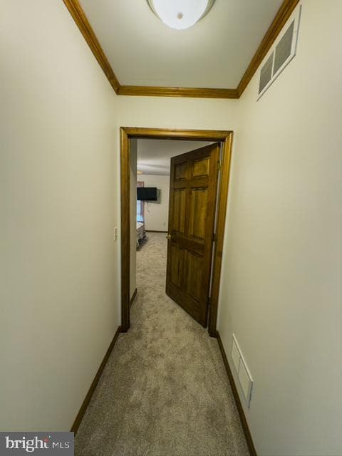 541 Ingleside Road photo 54