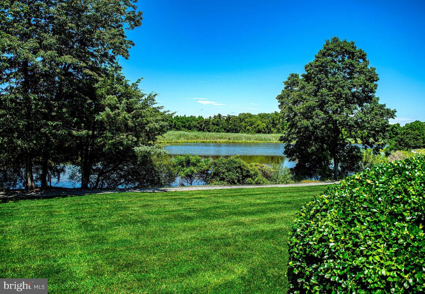 1103 Marion Quimby Drive photo 40