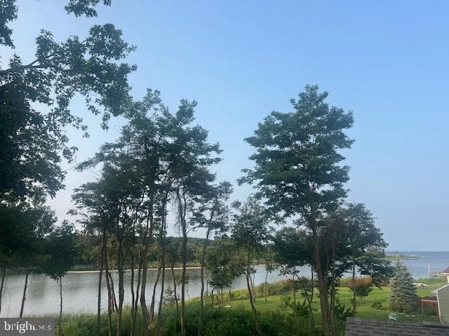 305 N Lake photo 14