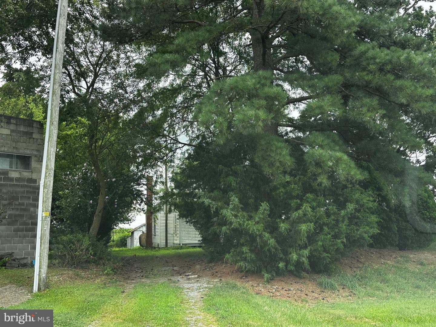 1500 Roe Ingleside Road photo 2