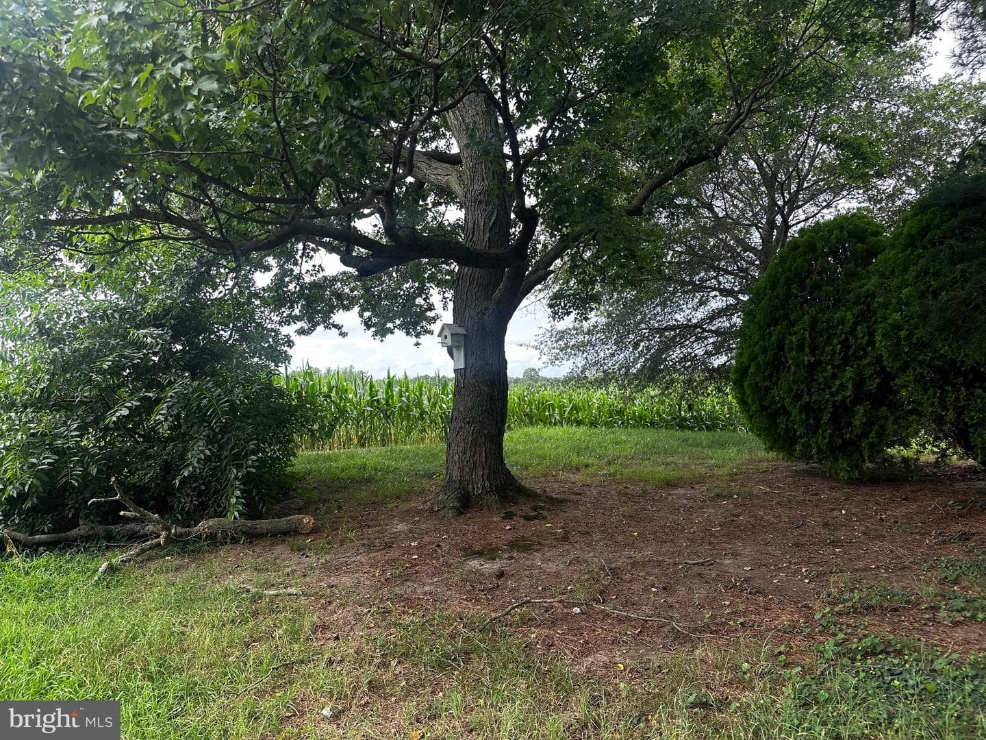 1500 Roe Ingleside Road photo 3