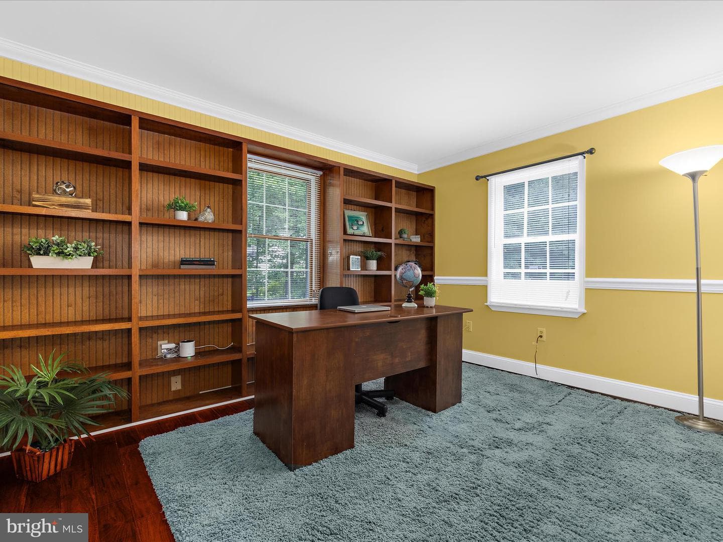 100 Marlborough Road photo 47