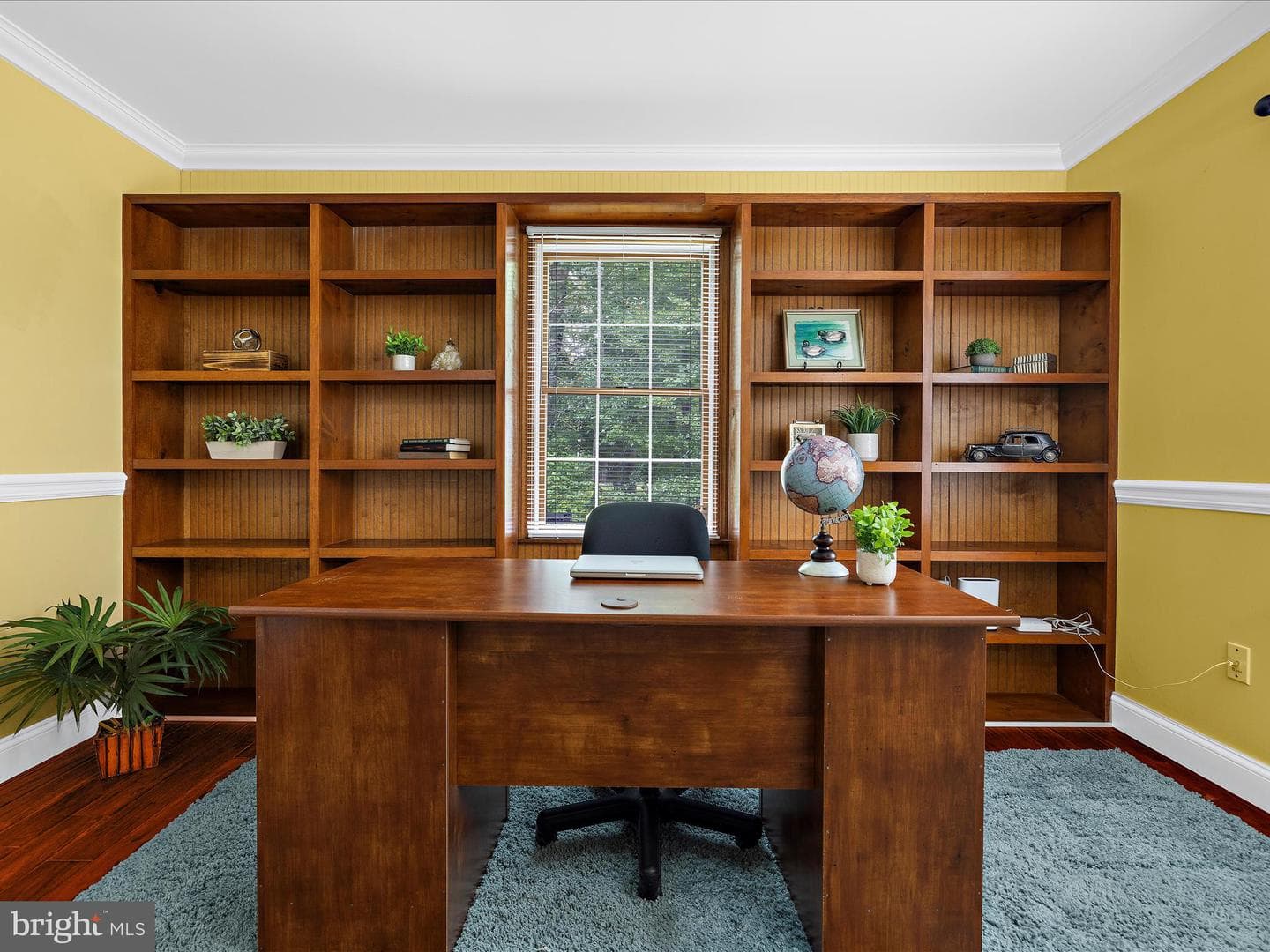 100 Marlborough Road photo 48