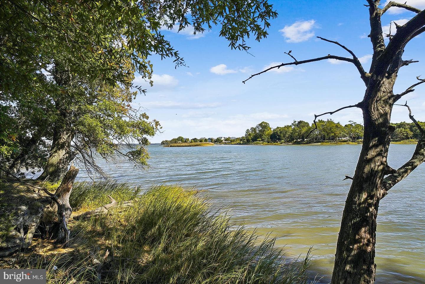 3000 Herons Nest Way #11 photo 43
