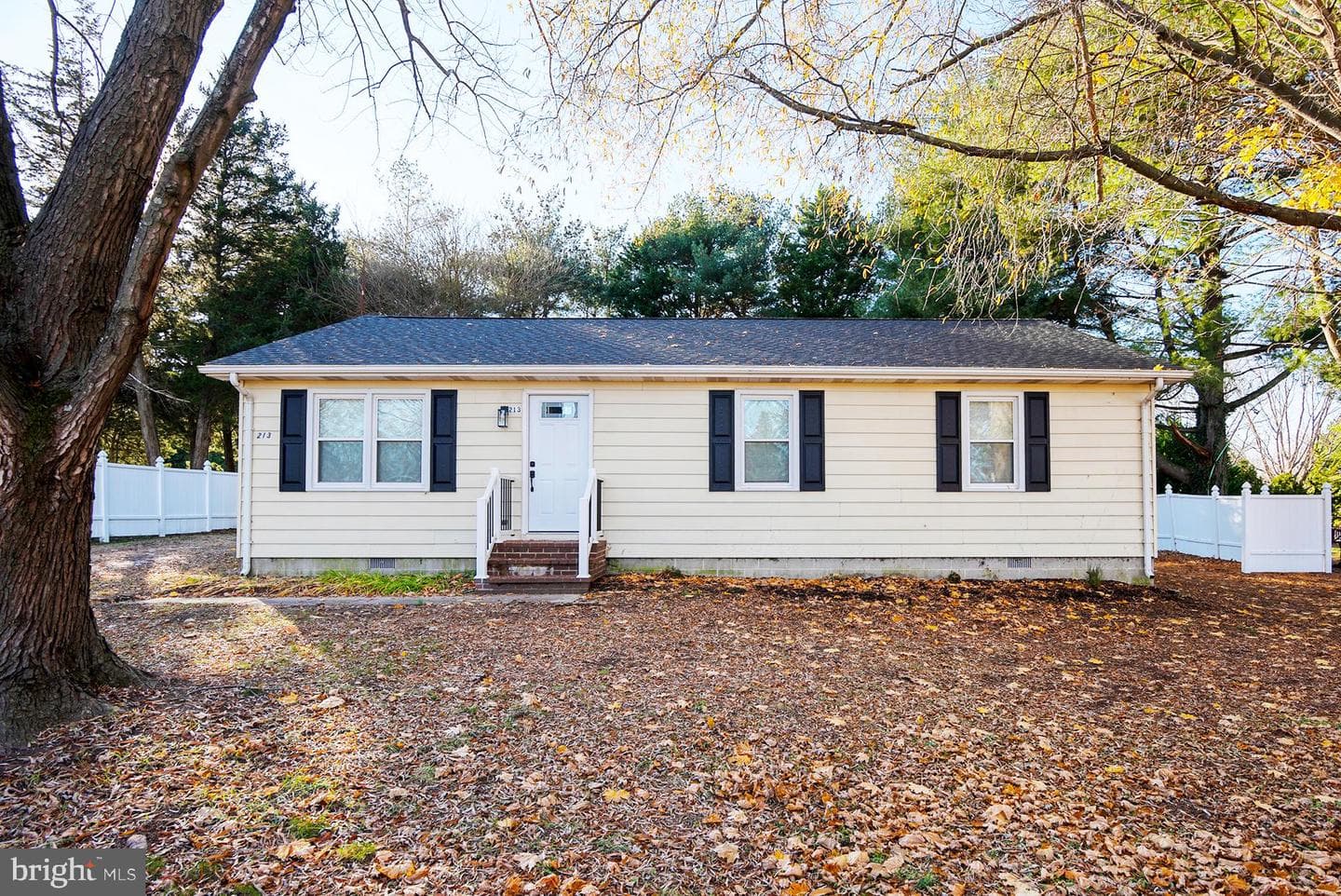 213 Central Drive photo 7