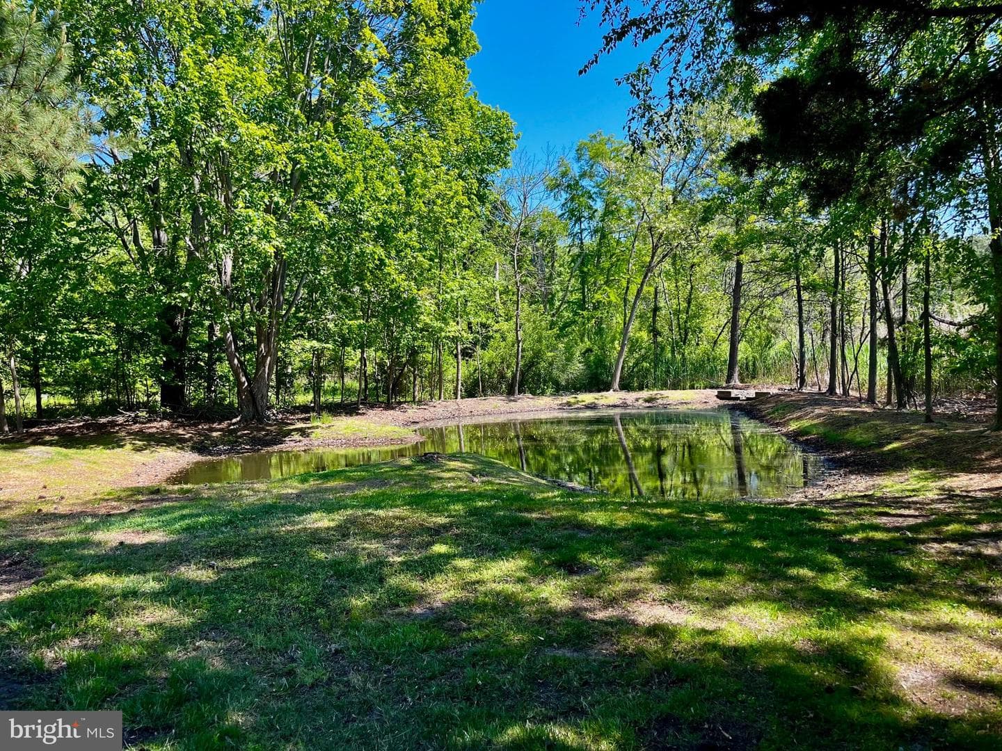 1025 Dundee Ct photo 36