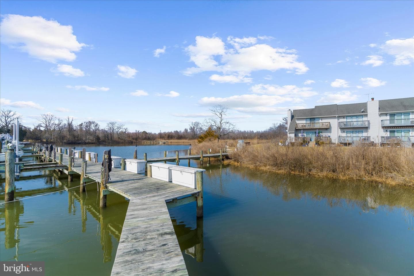 1305 Marion Quimby Drive photo 55
