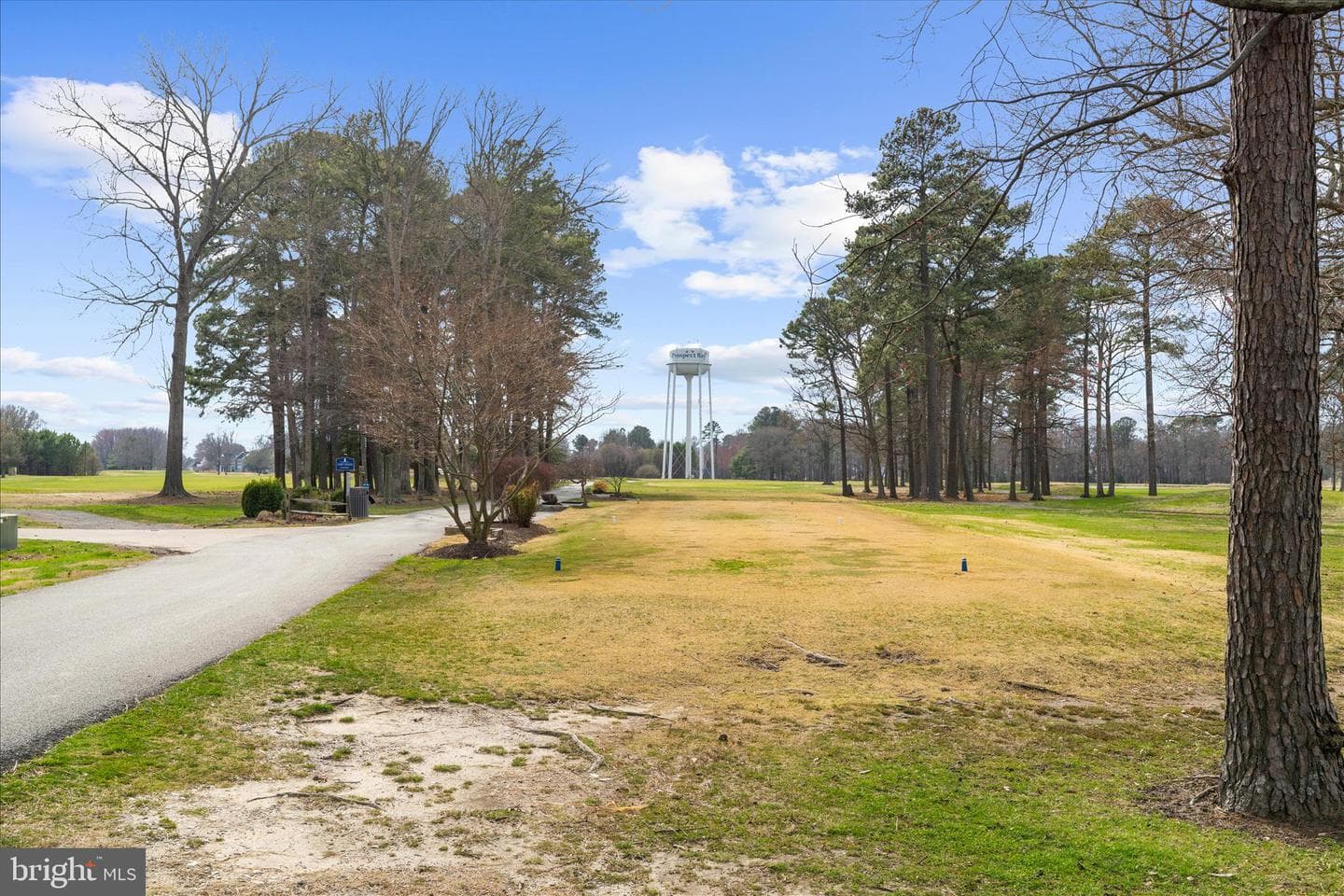 12 Fairway Is photo 58