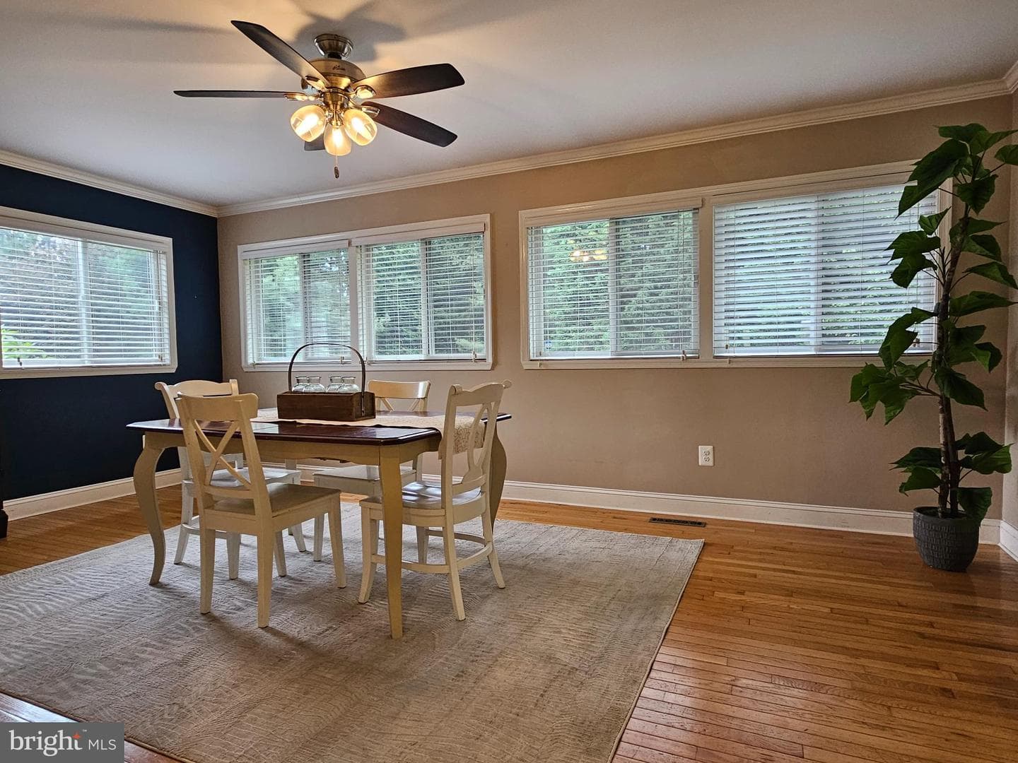 319 Wye Road photo 12