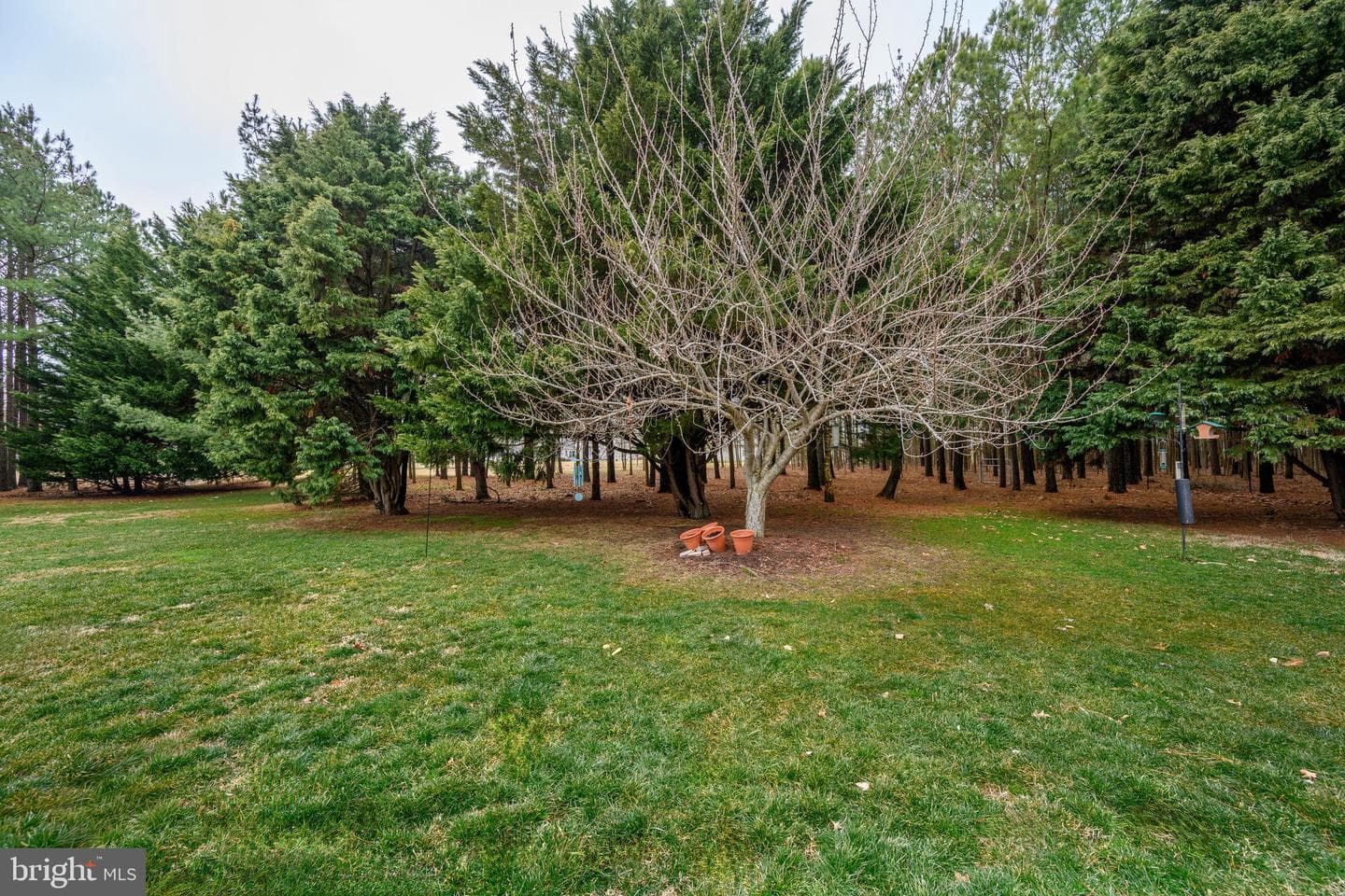 319 Wye Road photo 6