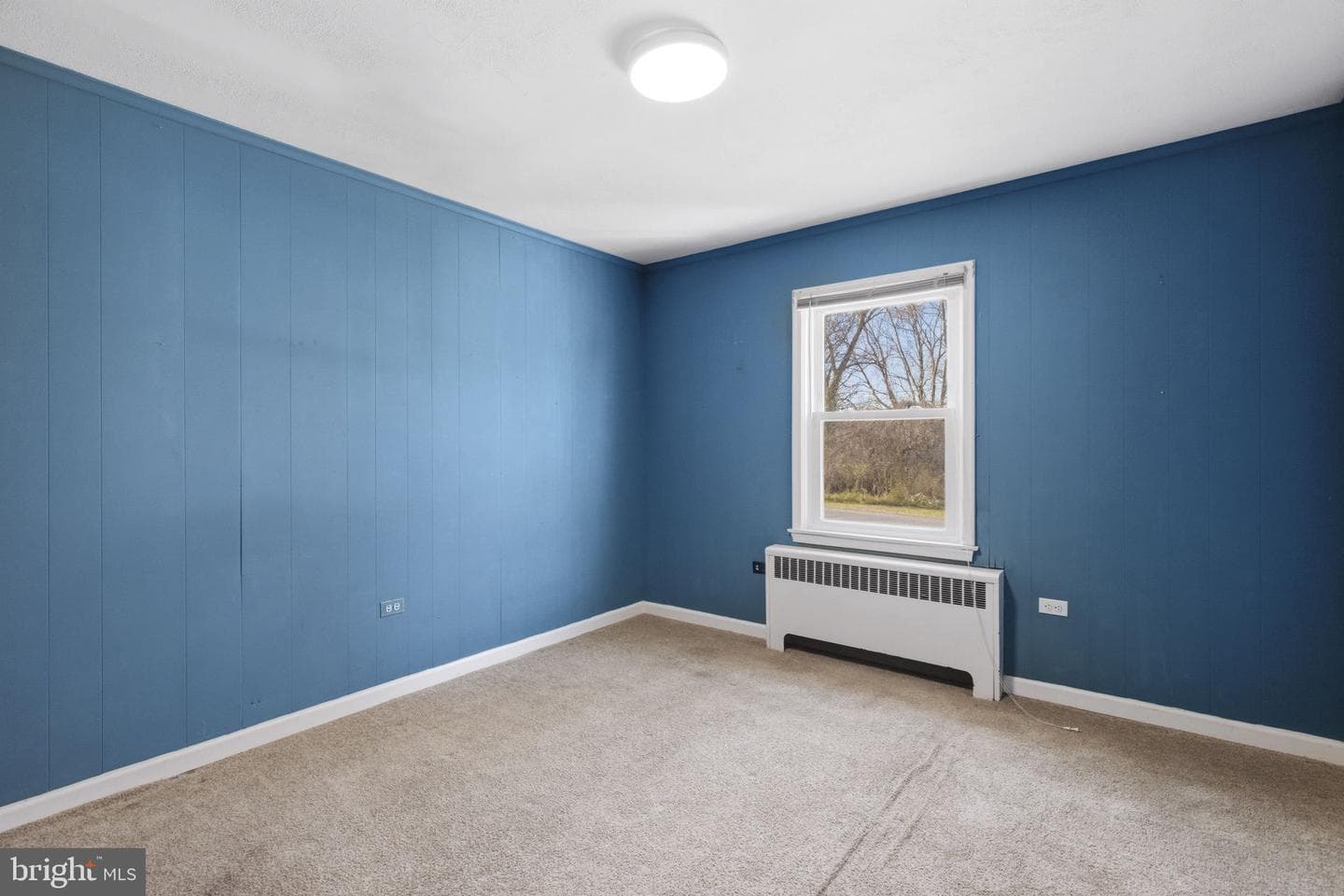 213 Groff Road photo 22