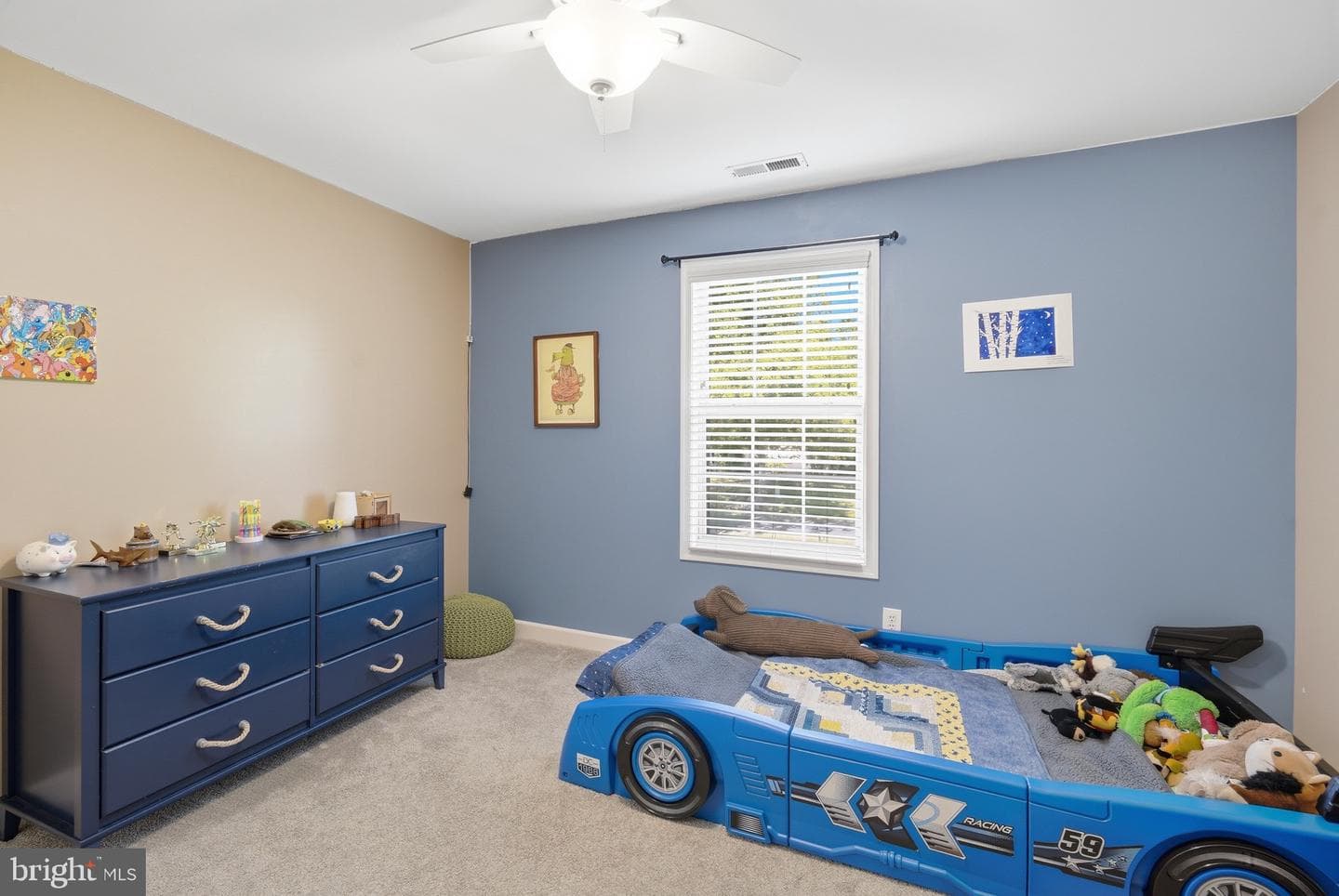 119 Pleasant Springs Drive photo 36