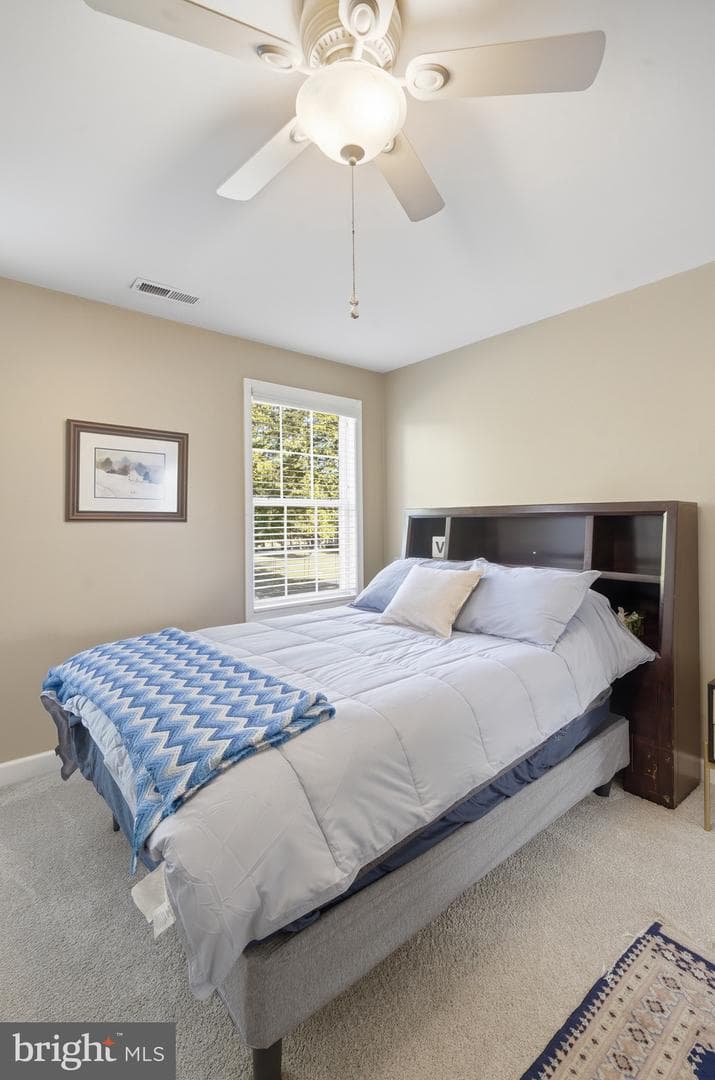 119 Pleasant Springs Drive photo 39