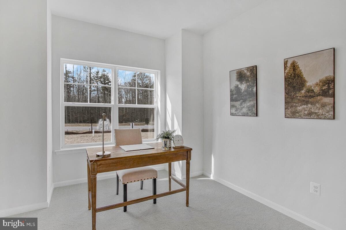103 Worcester Road photo 6