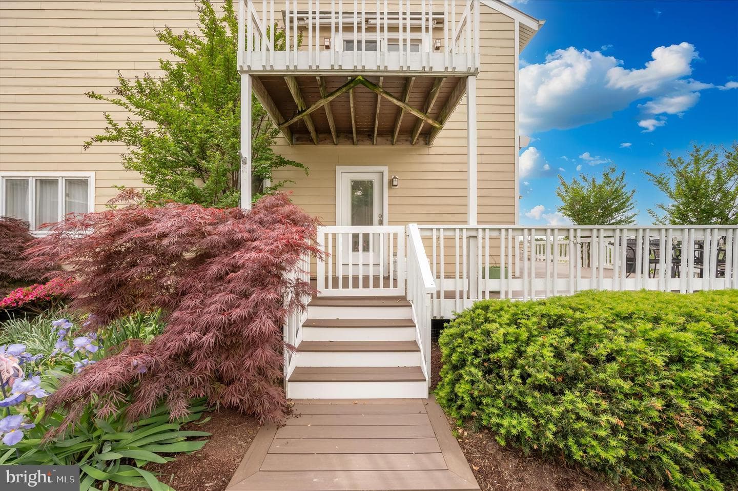 118 Bayview photo 59