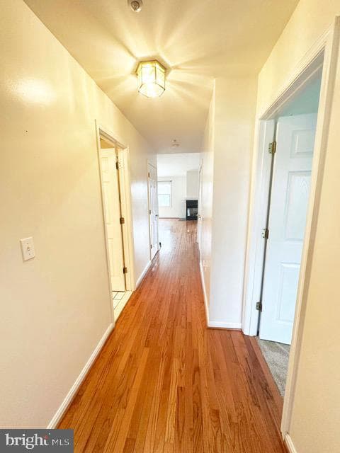 114 Merganser Court photo 10