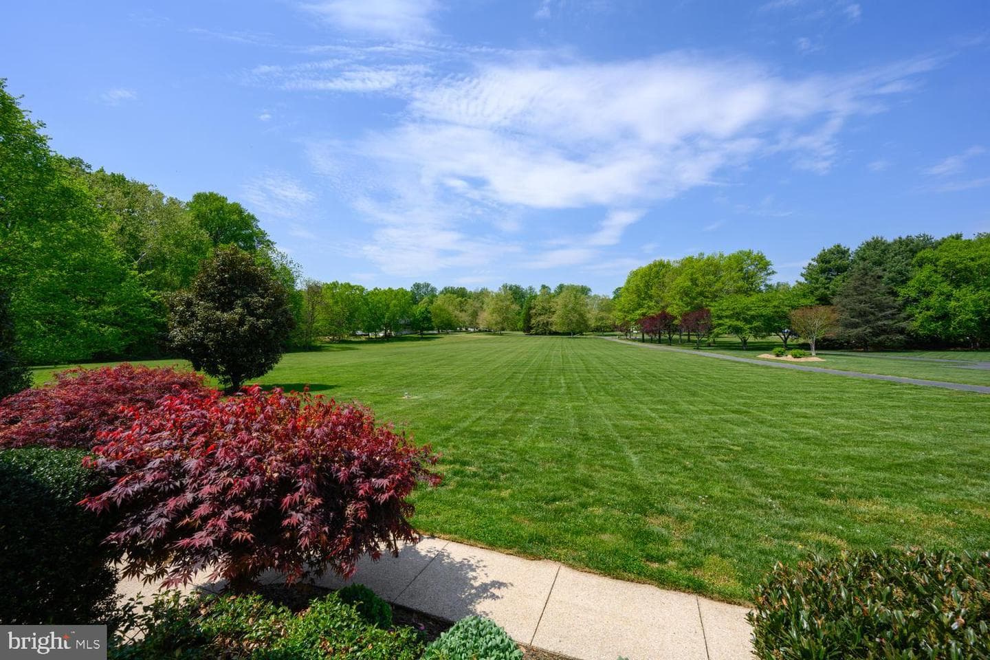 127 Pleasant Springs Drive photo 11