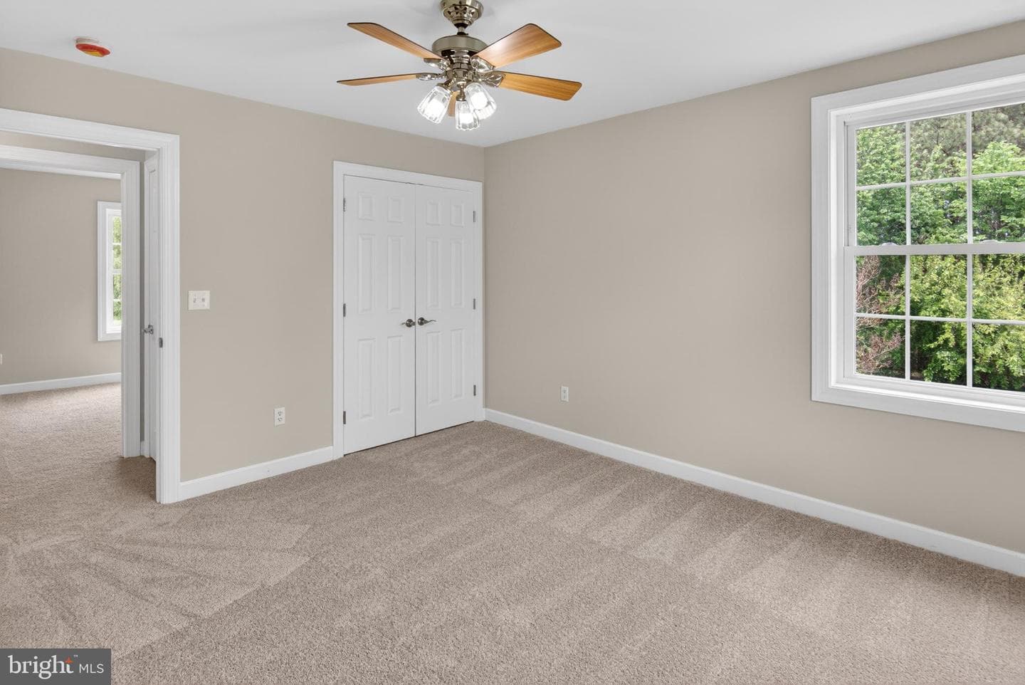 337 Roe Ingleside Road photo 36