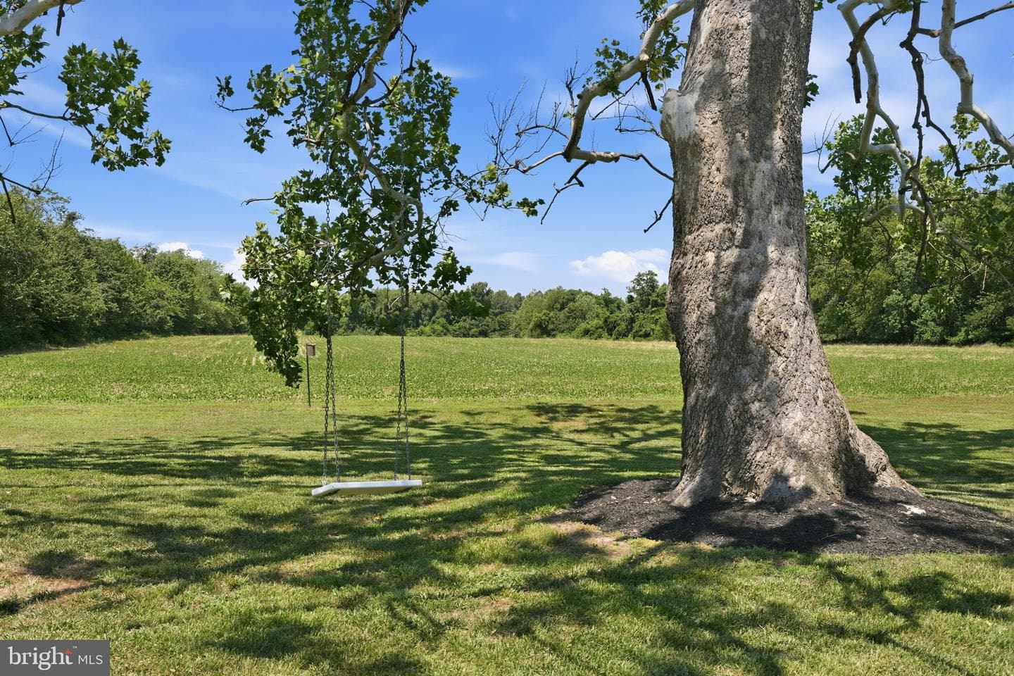 1810 Love Point Road photo 15