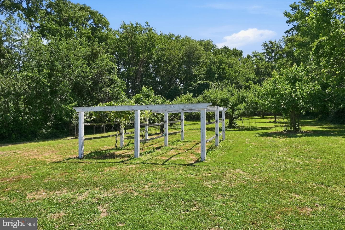 1810 Love Point Road photo 80