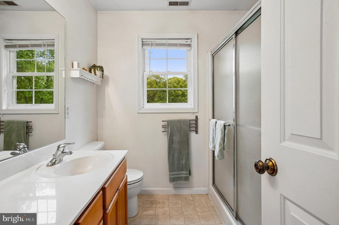 215 Fairview Drive photo 39