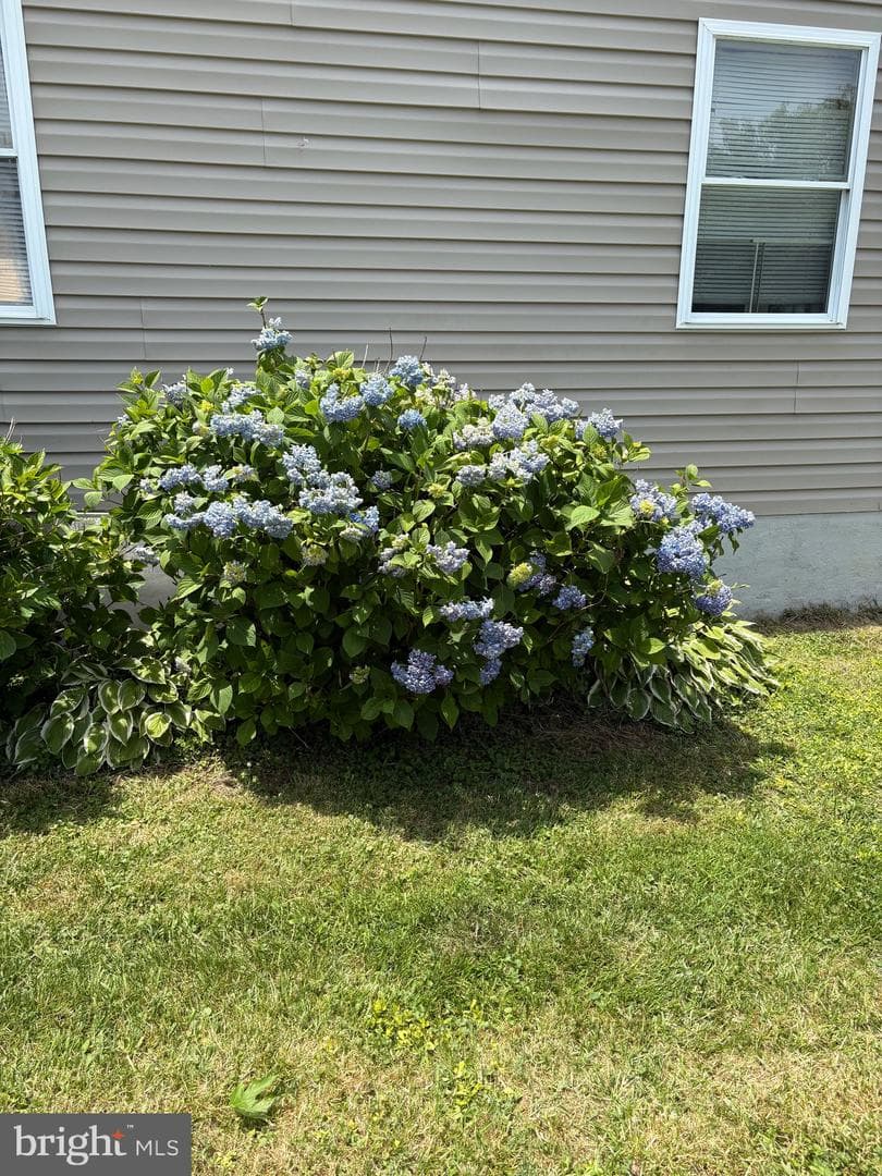 317 Virginia Road photo 9