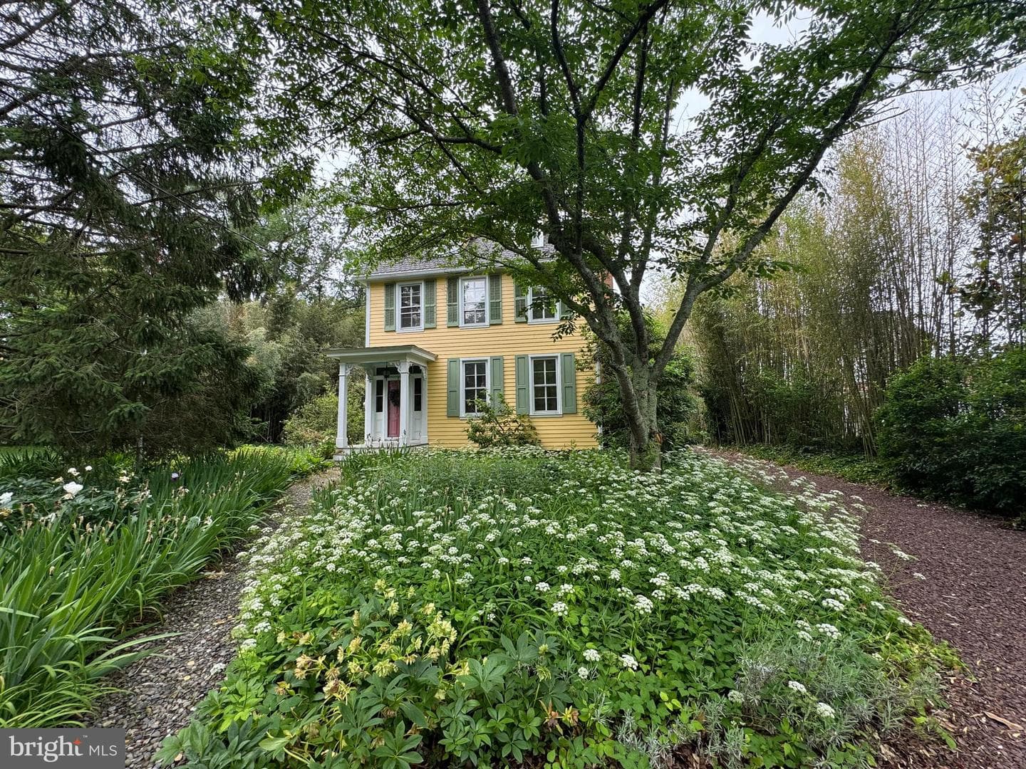 115 Watson Road photo 52