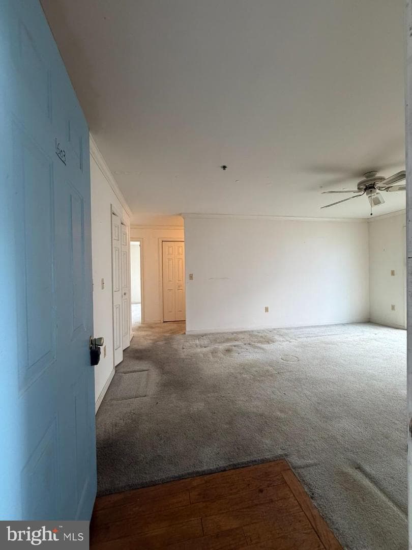 1603 Marion Quimby Drive photo 3