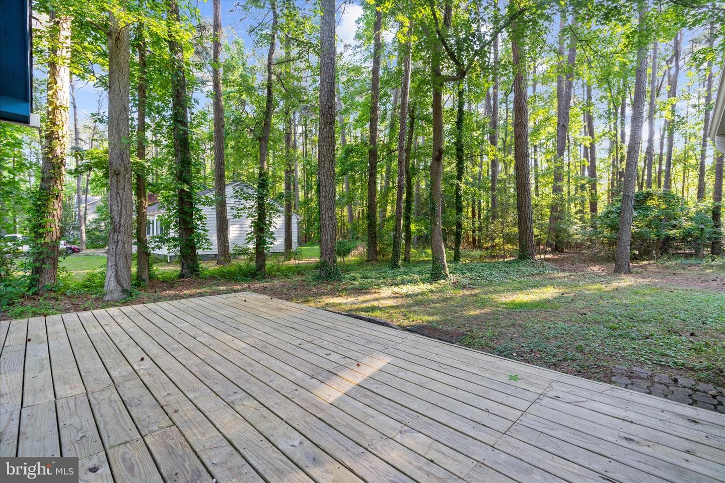 318 Wicomico Road photo 36